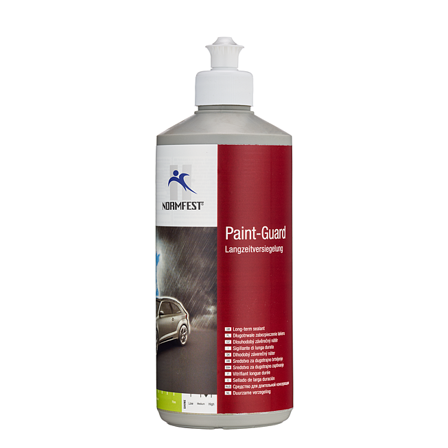 Langzeitversiegelung Paint Guard