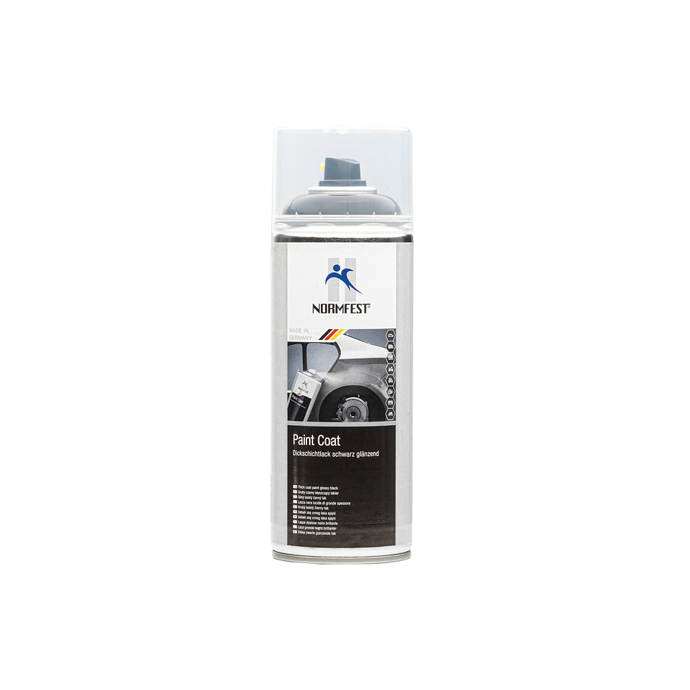 Paint Coat Dickschichtlack