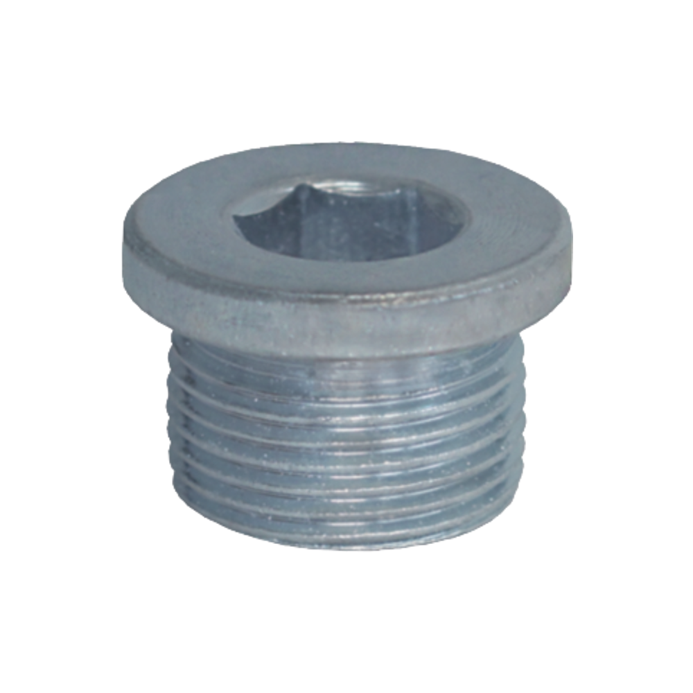 VERSCHLUSS-SCHRAUBE M22 X 1,5 X 14 VZ