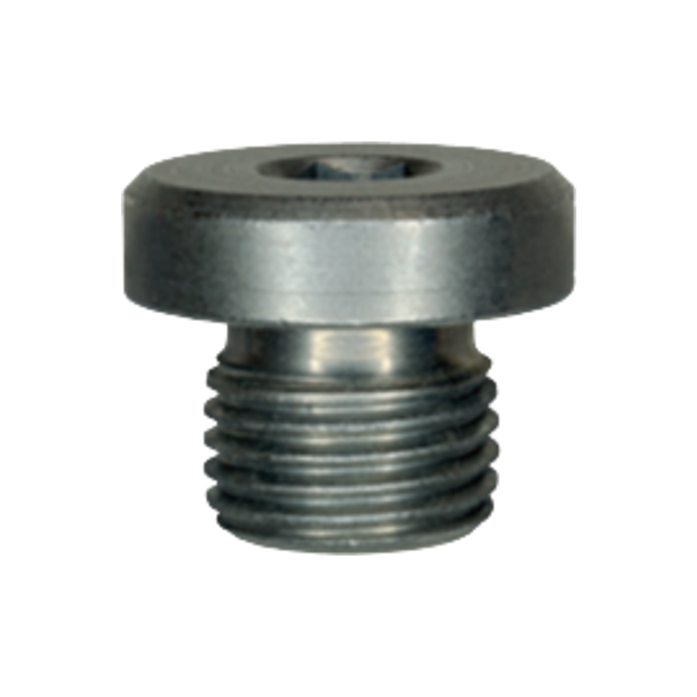 VERSCHLUSS-SCHRAUBE M10 X 1,0 ZN NI