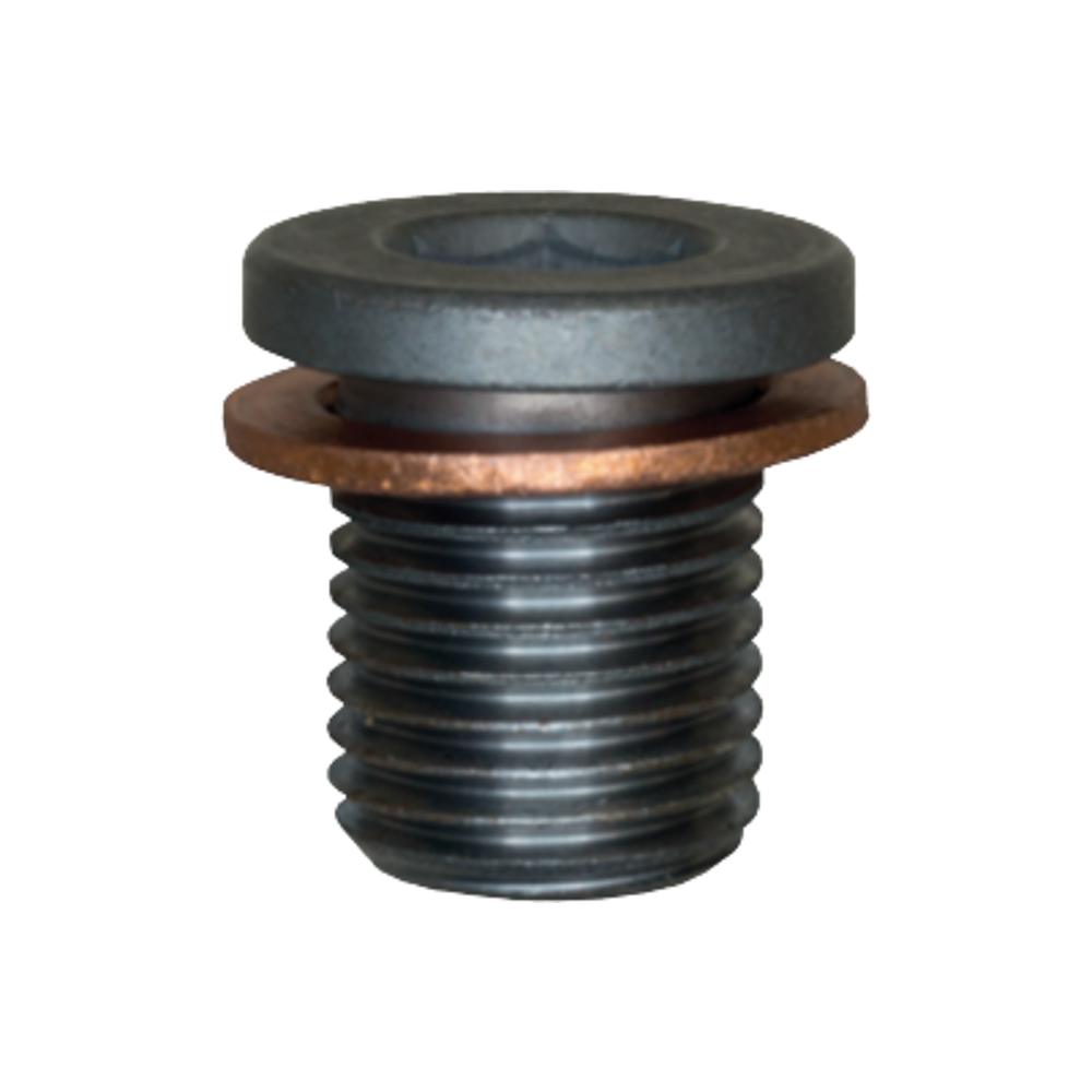 VERSCHLUSS-SCHRAUBE M14 X 1,5 X 17,0