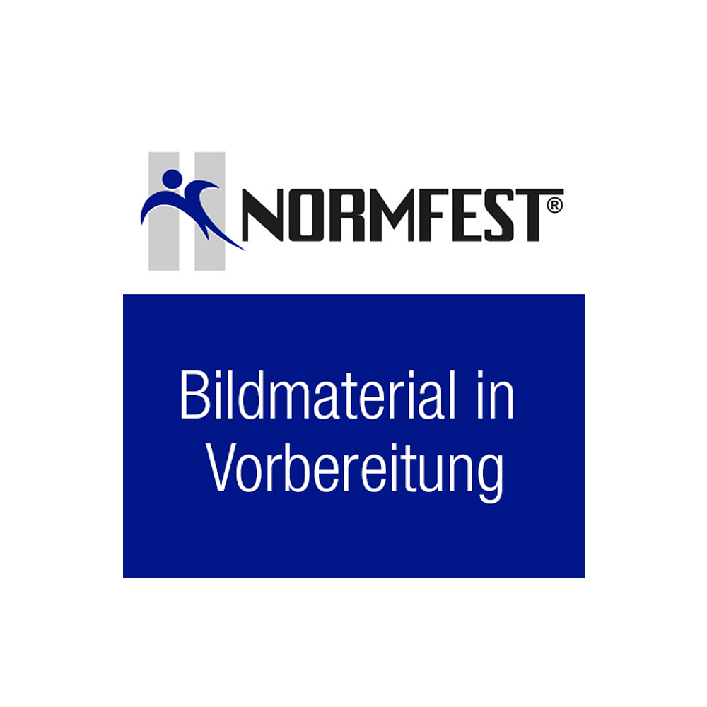 Reparatur-Satz f&uuml;r Umschaltknarre 7716-120-001