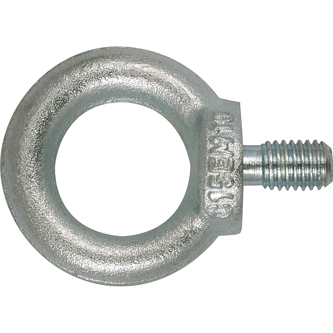 Ringschraube DIN 580-C15E vz M24