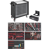 V4481-X/466;WW Series XL EDEL + 466TLG SORTIMENT